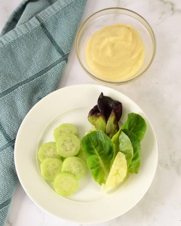 New Foods for Stage 5 - plate of sliced cucumbers, lettuce leaves and a bowl of apple sauce.