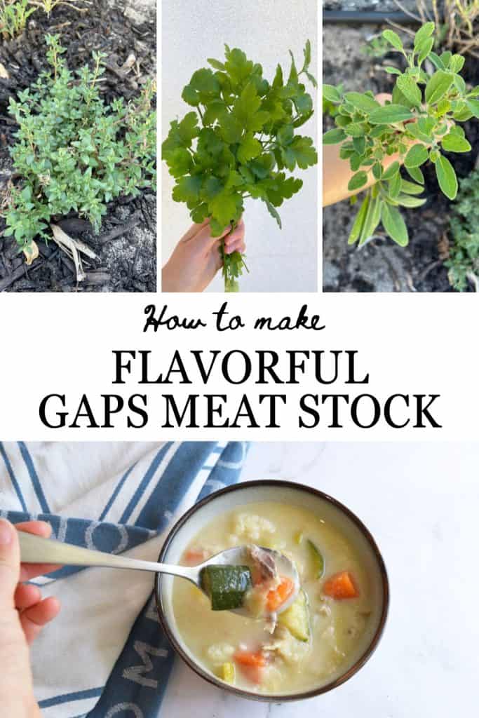 Herbs and Spices to Elevate GAPS Meat Stock